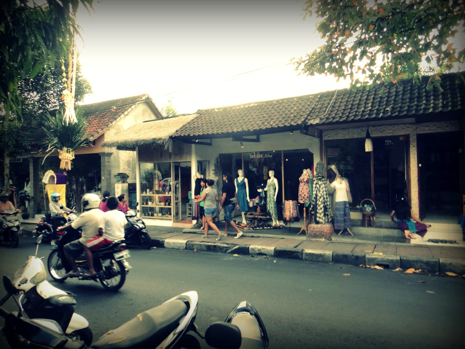 Ubud Was the Quiet I Didn't Know I Needed (Then I Waved at the Wrong Monkey)